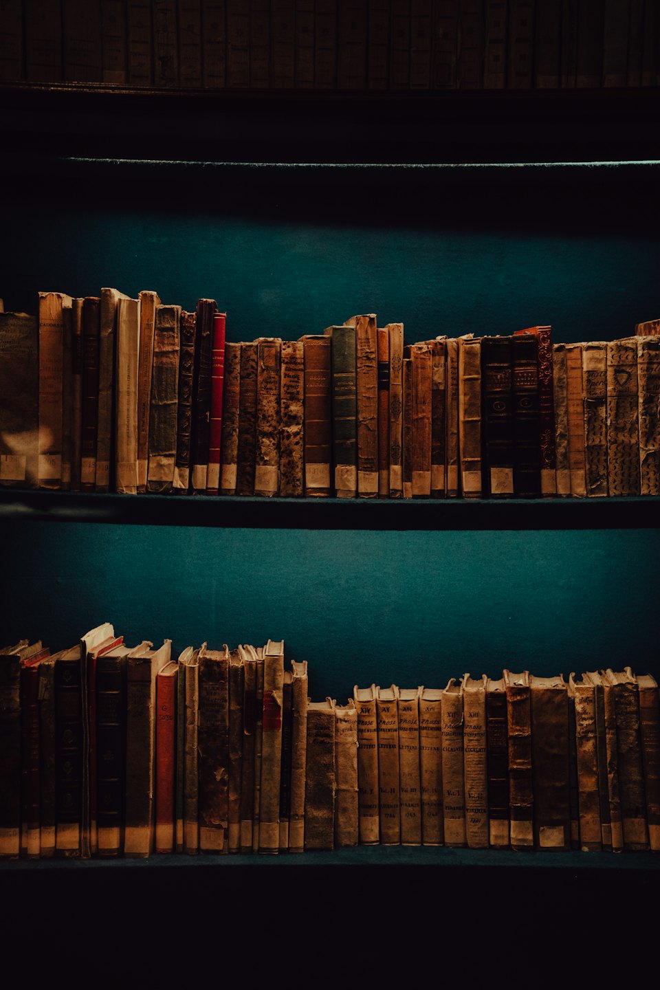 Antique leather and paper books arranged on two shelves.